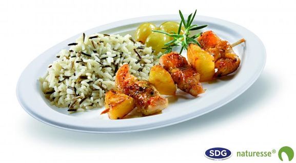 Assiette Jetable Pulpe De Cellulose 26x19 Cm - Sdg - Lot De 500