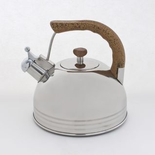 Bouilloire Sifflante 4 Litres