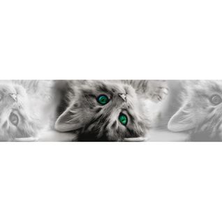 Frise Auto-collante Chatons Gris Aux Yeux Verts - 1 Rouleau