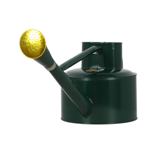 Arrosoir Classique En Métal - Vert Et Or - 5 L