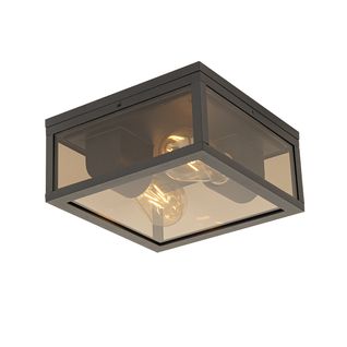 Plafonnier Noir Avec Verre Fumé 2 Lumières Ip44 - Charlois