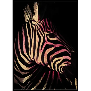 Toile 48x68 cm Zebre Noir vue de face