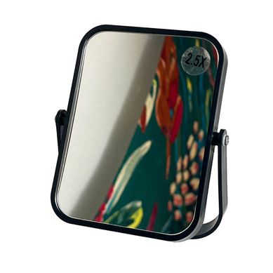 Miroir Grossissant Polystyrène À Poser