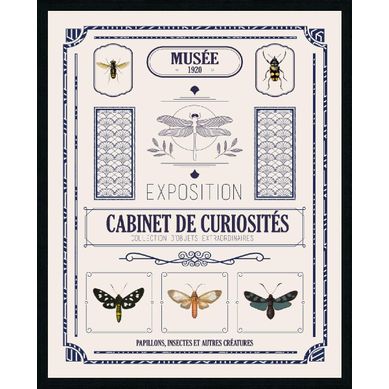 Toile 40x50 cm CABINET DE CURIOSITE Lario noir vue de face