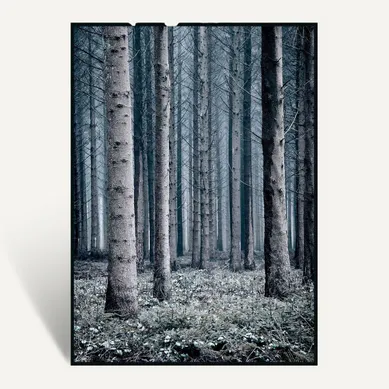 Toile 50x70 cm TRONC Lario noir vue de face
