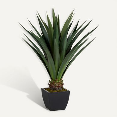 Agave géante H. 130 cm  vert