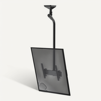 Support Plafond Inclinable Pour 1 écran Portrait 43''-75'' - Hauteur 175cm