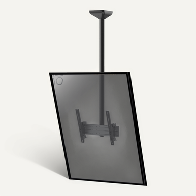 Support Plafond Inclinable Pour 1 écran Portrait 43''-75'' - Hauteur 150cm
