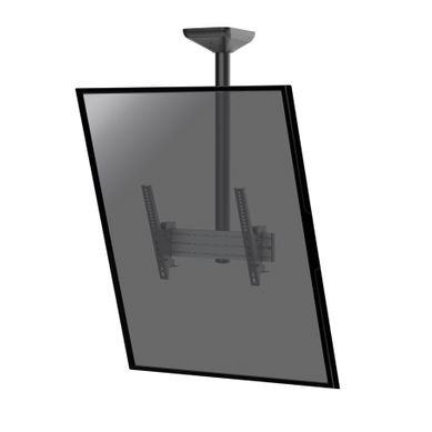 Support Plafond Inclinable Pour 1 écran Portrait 43''-75'' - Hauteur 100cm