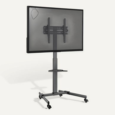 Support Sur Pied Avec Roulettes écran TV 32''-55'', Hauteur 116-151cm
