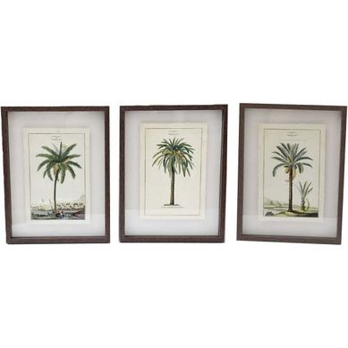 Ensemble De 3 Cadres 30 X 40 Cm Palmiers