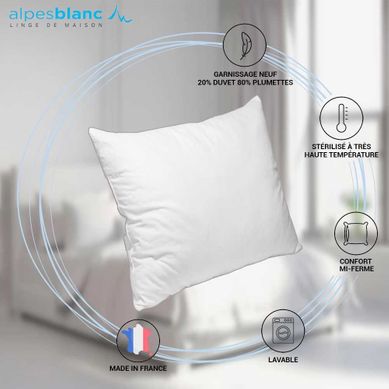 2 Oreillers Carrés Bleu Câlin - Confort Réglable, Enveloppe Coton, Blanc 65x65cm, Fabriqué En France