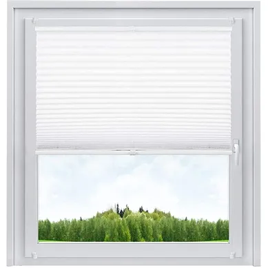 Store Plissé. Sans Perçage Pour Fenêtre Ou Porte.50x100 Cm.blanc