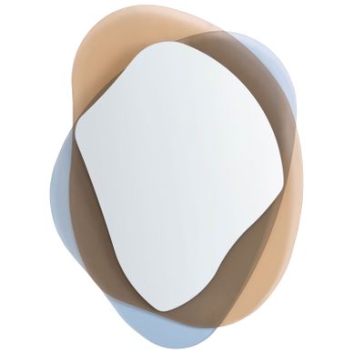 Miroir Charlieu 61 Cm 79 Cm Verre Marron