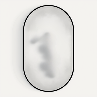 Miroir De Salle De Bain 50x80 Cm Avec Design élégant Et Moderne, En Verre, Noir Et Argent