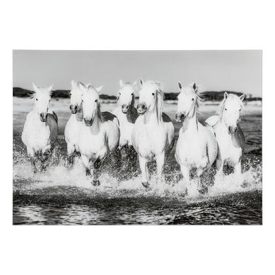 CHEVAUX  Noir et blanc