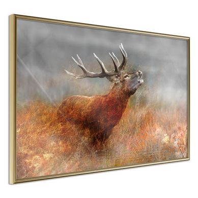 Affiche Murale Encadrée "rut" 30 X 20 Cm Doré