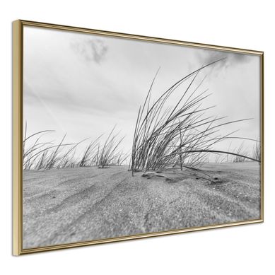 Affiche Murale Encadrée "seaside Dunes" 60 X 40 Cm Doré