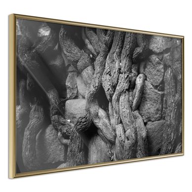 Affiche Murale Encadrée "strong Roots" 90 X 60 Cm Doré