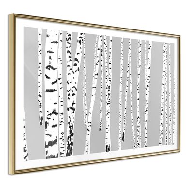Affiche Murale Encadrée "birch Wood " 30 X 20 Cm Doré