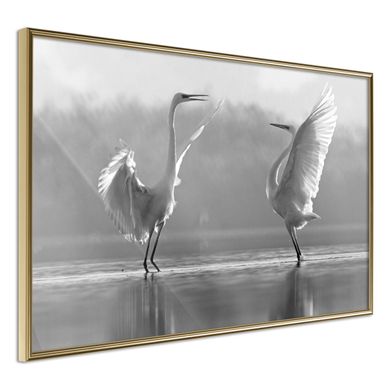 Affiche Murale Encadrée "black And White Herons" 30 X 20 Cm Doré
