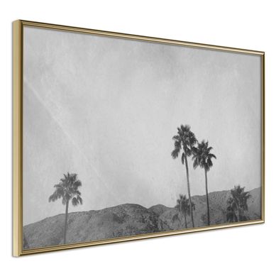 Affiche Murale Encadrée "sky Of California" 90 X 60 Cm Doré