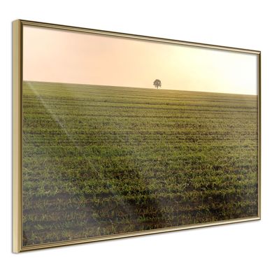 Affiche Murale Encadrée "farmland" 30 X 20 Cm Doré