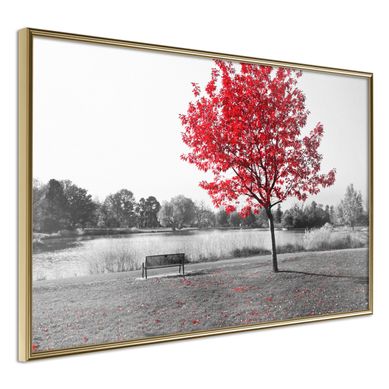 Affiche Murale Encadrée "autumn Colours I" 60 X 40 Cm Doré