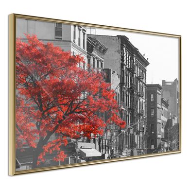 Affiche Murale Encadrée "autumn Colours Ii" 30 X 20 Cm Doré