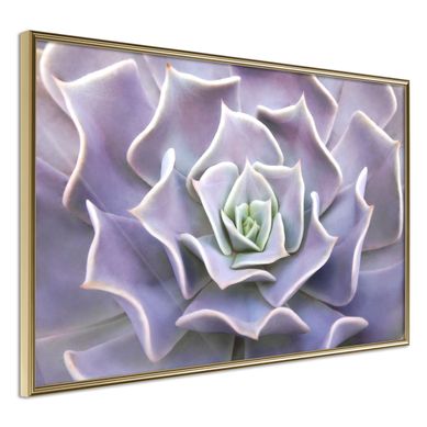 Affiche Murale Encadrée "like à Flower" 30 X 20 Cm Doré