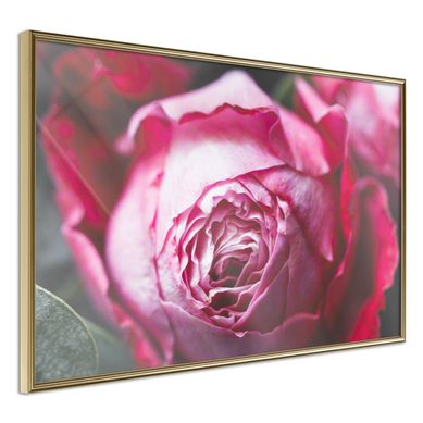 Affiche Murale Encadrée "blooming Rose" 30 X 20 Cm Doré