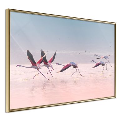 Affiche Murale Encadrée "flamingos Breaking Into à Flight" 30 X 20 Cm Doré