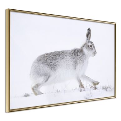 Affiche Murale Encadrée "escape In The Snow" 60 X 40 Cm Doré