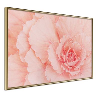Affiche Murale Encadrée "delicate Petals" 30 X 20 Cm Doré