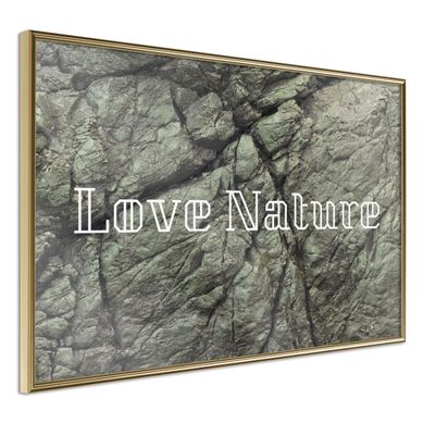 Affiche Murale Encadrée "nature" 45 X 30 Cm Doré