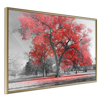 Affiche Murale Encadrée "red Tree" 30 X 20 Cm Doré