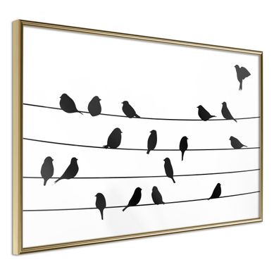 Affiche Murale Encadrée "birds Council Meeting" 45 X 30 Cm Doré