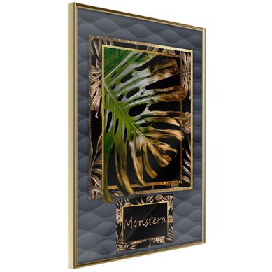 Affiche Murale Encadrée "monstera In The Frame" 40 X 60 Cm Doré