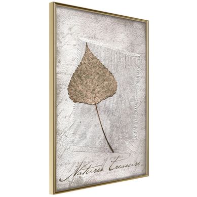 Affiche Murale Encadrée "dried Leaf" 21 X 30 Cm Doré
