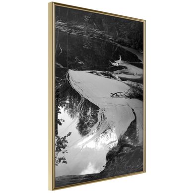 Affiche Murale Encadrée "duckweed" 21 X 30 Cm Doré