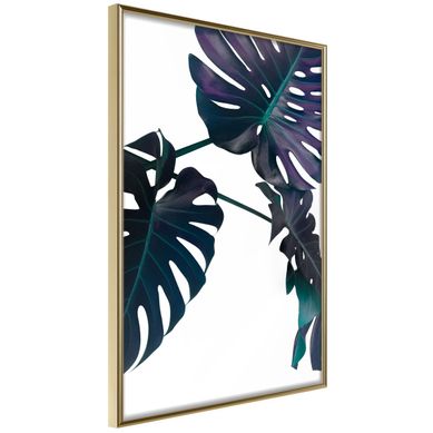 Affiche Murale Encadrée "evergreen Monstera" 40 X 60 Cm Doré