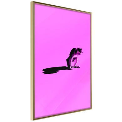 Affiche Murale Encadrée "monkey On Pink Background" 21 X 30 Cm Doré