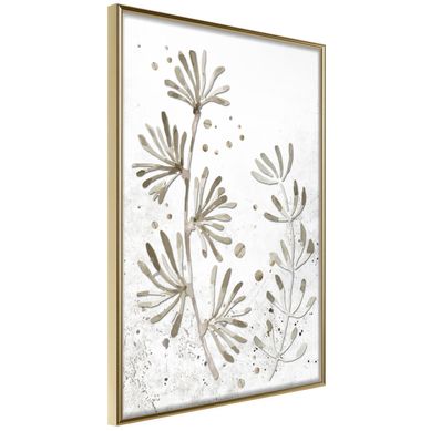 Affiche Murale Encadrée "dried Plants" 40 X 60 Cm Doré