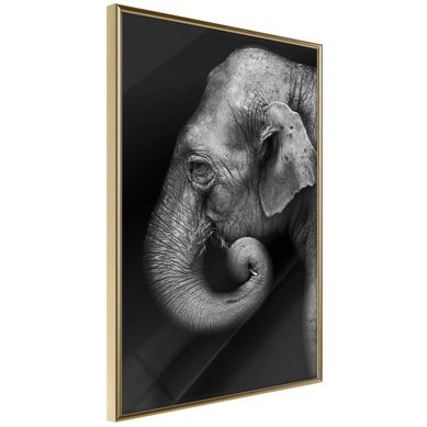 Affiche Murale Encadrée "wisdom" 40 X 60 Cm Doré