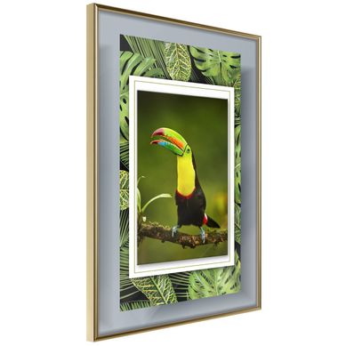 Affiche Murale Encadrée "toucan In The Frame" 30 X 42 Cm Doré