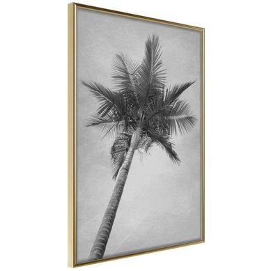 Affiche Murale Encadrée "memories From The Paradise" 40 X 60 Cm Doré
