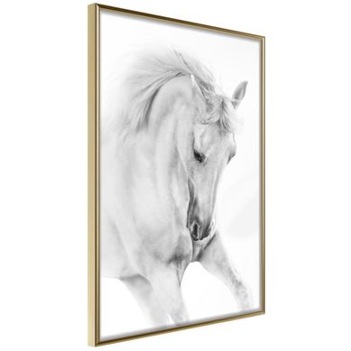 Affiche Murale Encadrée "beauty In Motion" 30 X 42 Cm Doré