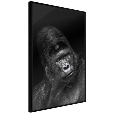Affiche Murale Encadrée "intelligent Gaze" 40 X 60 Cm Noir Affiche Murale Encadrée "intelligent Gaze" 40 X 60 Cm Noir