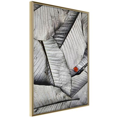 Affiche Murale Encadrée "touch Of Colour" 40 X 60 Cm Doré