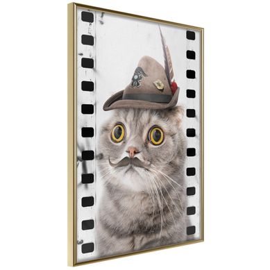 Affiche Murale Encadrée "dressed Up Cat" 40 X 60 Cm Doré